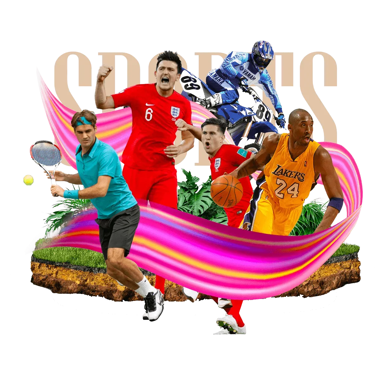 金年会体育赛事